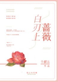 白刃战电视剧